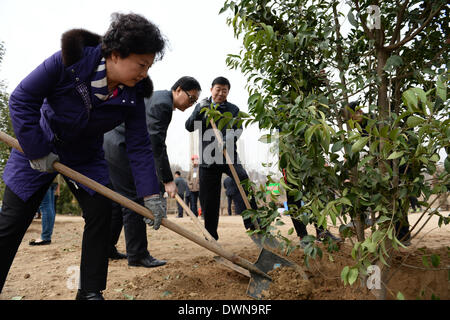 Xi'an, la Cina della provincia di Shaanxi. Xii Mar, 2014. Persone Pianta un albero nel Chan-ba distretto ecologico sull'Arbor Day a Xi'an, capitale della Cina nord-occidentale della provincia di Shaanxi, 12 marzo 2014. © Li Yibo/Xinhua/Alamy Live News Foto Stock