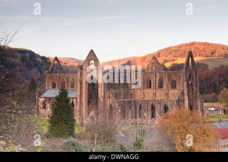 Tintern Abbey, fondata da Walter de Clare, signore di Chepstow, nel 1131, Tintern, Monmouthshire, Wales, Regno Unito, Europa Foto Stock