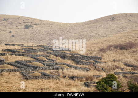 Grave generale fatta da basalto in Jeju Island, Corea Foto Stock