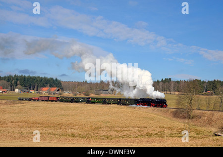 Harzer Schmalspurbahnen (HSB) treni nel Harz, Sassonia-Anhalt, Germania. In aperta campagna a sud di Bennekenstein. Foto Stock