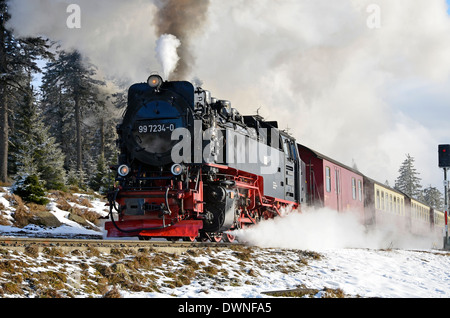 Harzer Schmalspurbahnen (HSB) treni nel Harz, Sassonia-Anhalt, Germania. Servizio in treno Goetheweg sulla salita per Brocken. Foto Stock