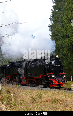 Harzer Schmalspurbahnen (HSB) treni nel Harz, Sassonia-Anhalt, Germania.Treno nella foresta vicino Eland. Foto Stock