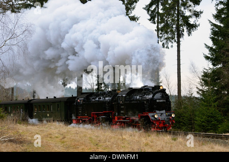 Harzer Schmalspurbahnen (HSB) treni nel Harz, Sassonia-Anhalt, Germania. Il vapore nella foresta a sud di Drei Annen Hohne. Foto Stock