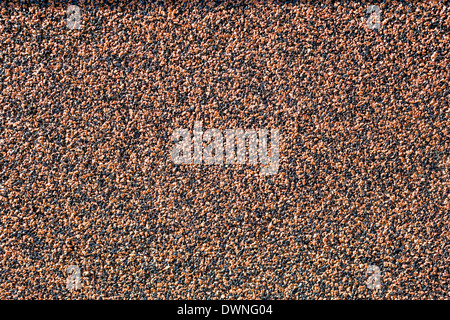 Piccola ghiaia texture marrone sul muro di cemento nella giornata di sole Foto Stock