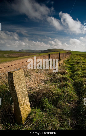 Pietra di marcatore sul sentiero da Chantry Hill per Blackpatch Hill sulla South Downs, West Sussex, Regno Unito Foto Stock