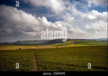 Il sentiero da Chantry Hill per Blackpatch Hill sulla South Downs vicino a Storrington, West Sussex, Regno Unito Foto Stock