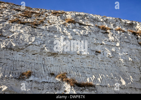 9348. Strati di Flint in Chalk Cliffs, Dover, Kent, Inghilterra Foto Stock