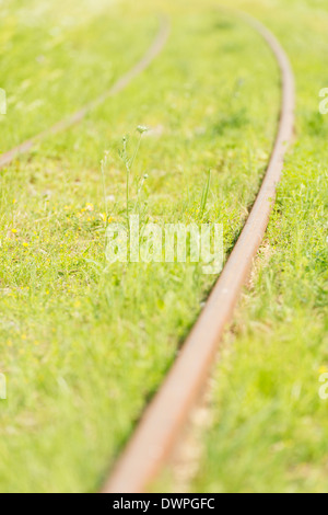 Vecchia ferrovia chiusa via coperta con erba verde Foto Stock