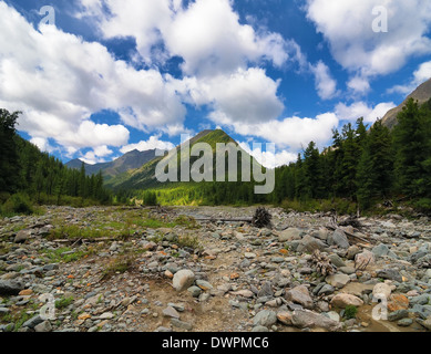 Paesaggio estivo. Pietra di fiume di montagna canale. Sayan montagne. Repubblica di Buryatia Foto Stock