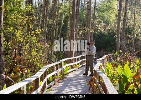 Napoli, Florida - Un fotografo sul lungomare nella National Audubon Society cavatappi del Santuario di palude. Foto Stock