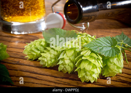 Coni di luppolo una bottiglia di birra e pinta Foto Stock