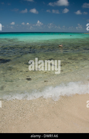 Belize, il Mare dei Caraibi, Stann Creek quartiere nei pressi di Plasencia. Ridendo Bird Caye Parco Nazionale. Foto Stock