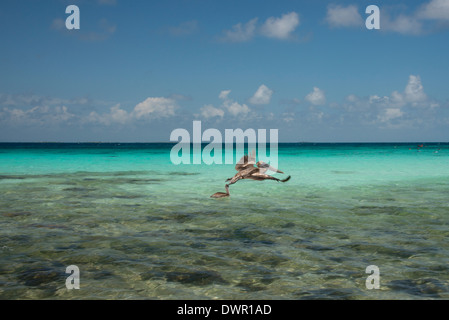 Belize, il Mare dei Caraibi, Stann Creek quartiere nei pressi di Plasencia. Ridendo Bird Caye parco nazionale situato sul Belize Barriera Corallina. Foto Stock