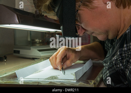 Yakutian Dimonds selezione. Barnaul Altai krai Russia Siberia Asia Foto Stock