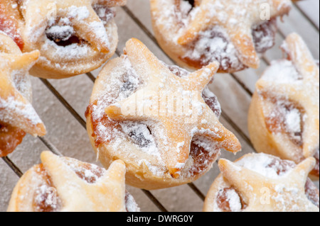 Torte di mince fatte in casa decorate con una stella di pasticceria e spolverate con zucchero a velo Foto Stock