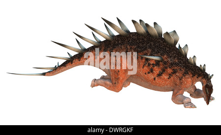 3D render digitale di un dinosauro di appoggio Kentrosaurus isolati su sfondo bianco Foto Stock