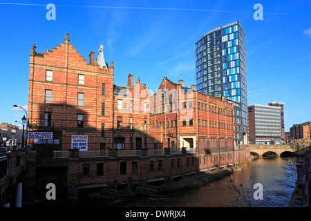 Il Royal Exchange edificio e moderni appartamenti dal fiume Don, Sheffield South Yorkshire, Inghilterra, Regno Unito. Foto Stock