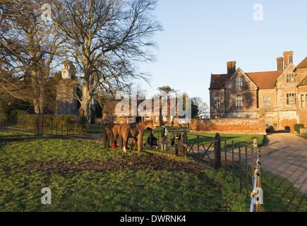 Cavalli in paddock vicino alla casa di Breamore situato a nord di Fordingbridge in Hampshire, Inghilterra, Regno Unito Foto Stock