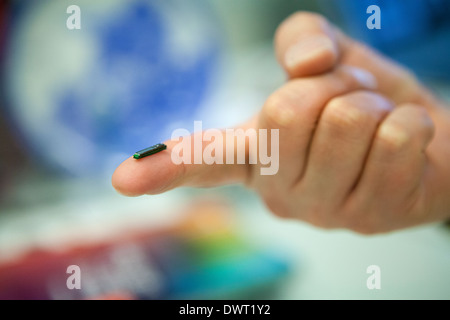Monitoraggio metabolico impianto Foto Stock