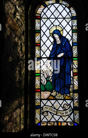 Vetrata della cappella di Nostra Signora e St Non raffigurante San sposa St Davids Pembrokeshire Wales Cymru REGNO UNITO GB Foto Stock