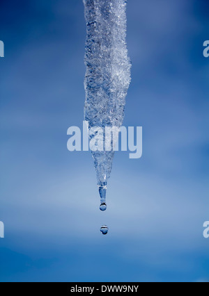 Close up di gocciolamento di acqua da ghiacciolo contro il cielo blu Foto Stock