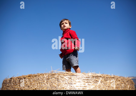 Bimbo di 2 anni sulla balla di paglia Foto Stock