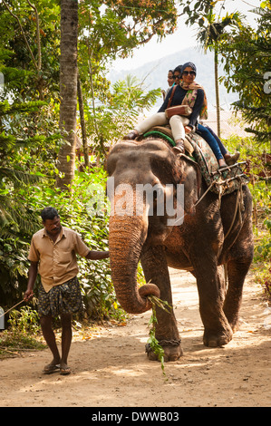 Sud Sud dell India Kerala Thekkady spice spezie del villaggio turistico di piantagione i turisti di marcia equitazione elefante indiano keeper Foto Stock