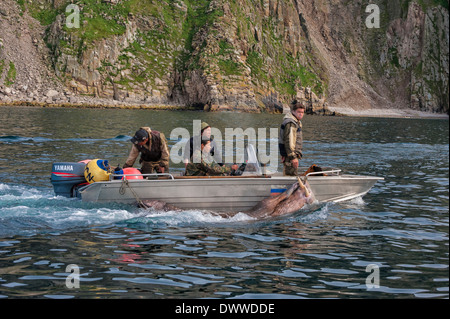 I cacciatori di tricheco, Cape Achen, Chukotka, Russia Foto Stock