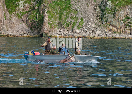 I cacciatori di tricheco, Cape Achen, Chukotka, Russia Foto Stock