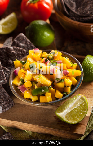 Freschi Fatti in casa di salsa di mango con corn chips Foto Stock