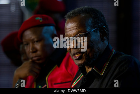 Presidente dell Inkatha Freedom Party Mangosuthu Buthulezi parla ai media come lui e Comandante in capo del Comitato economico Foto Stock