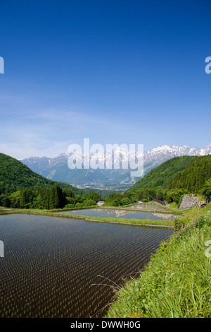 Giapponese a nord delle Alpi e risaie, Prefettura di Nagano, Giappone Foto Stock