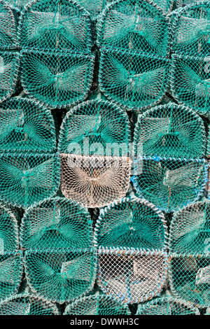 Lobster cantre impilati Foto Stock