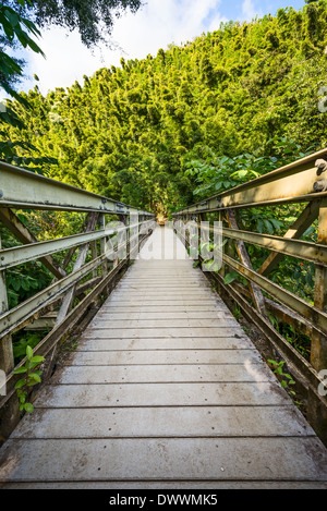 La passeggiata sul sentiero Pipiwai in Maui. Foto Stock