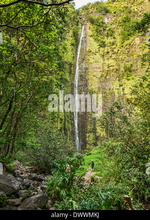 La spettacolare e grandi Waimoku Falls in Maui. Foto Stock