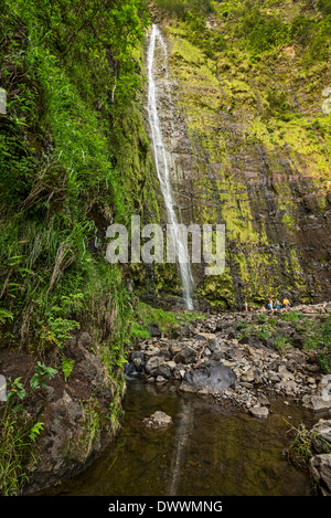 La spettacolare e grandi Waimoku Falls in Maui. Foto Stock