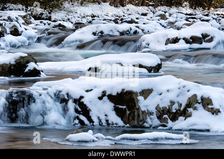 Neve e ghiaccio sul piccolo fiume di piccione nel Parco Nazionale di Great Smoky Mountains in Tennessee Foto Stock