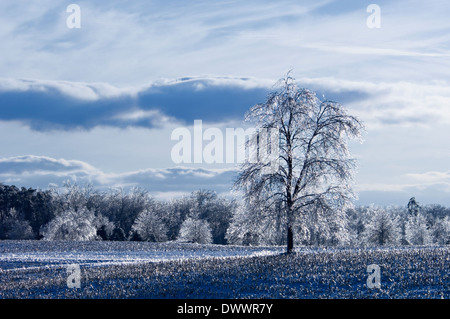 Il Motion Blur e l'effetto di zoom immagine del Great Smoky Mountain volante al crepuscolo dell'isola in Pigeon Forge Foto Stock