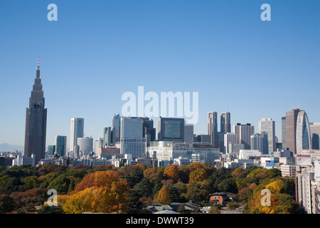 Shinjuku Gyoen Park in autunno, Tokyo, Giappone Foto Stock