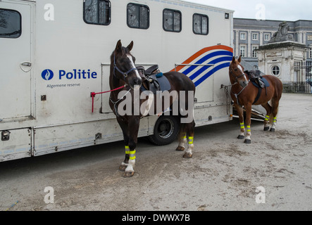 I cavalli della polizia Foto Stock