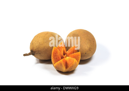 Sapodilla frutto isolato su sfondo bianco Foto Stock