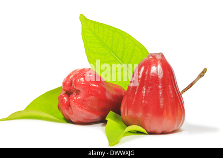 Red Rose apple con foglie su sfondo bianco Foto Stock
