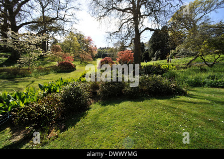 Dartington Hall, Giardini, Totnes Devon. Progettato da Dorothy Elmhirst. Centro Visitatori, Conference & Arts. Foto Stock