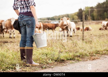 Sezione bassa di agricoltore femmina con benna permanente al campo con gli animali al pascolo in background Foto Stock