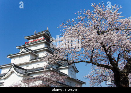 Castello Tsurugajo e ciliegi, Fukushima, Giappone Foto Stock