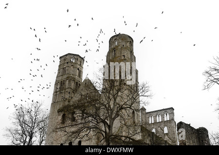 Abbazia di Jumieges rovine, Seine Maritime, Francia Foto Stock