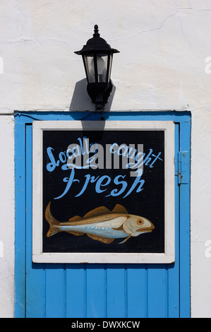 Dipinto a mano pesce di mare shop segno. Hastings. East Sussex. Regno Unito Foto Stock