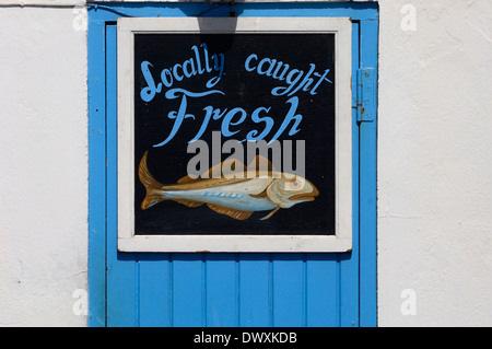 Dipinto a mano pesce di mare shop segno. Hastings. East Sussex. Regno Unito Foto Stock