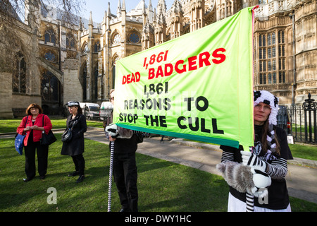 British Badger Cull protestare fuori del Parlamento a Londra Foto Stock