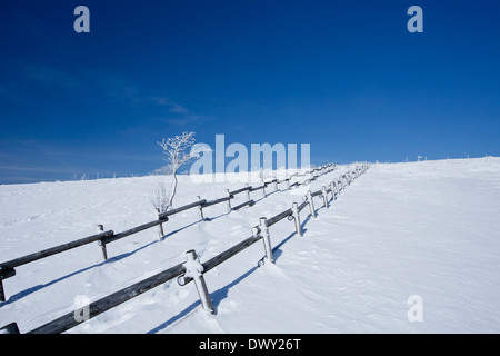 Utsukushigahara Highlands in inverno Foto Stock